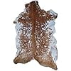 thumbnail image 1 of Brown and White Goat Skin Rug | 100% Authentic Hair-On Leather Goat Hide for Rustic Home Decor, 1 of 1