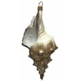 thumbnail image 1 of Brown and White Jeweled Seashell Polish Glass Christmas Ornament Shell Coastal, 1 of 3