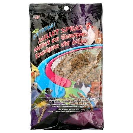 Brown's Extreme Natural Millet Spray Bird Treats, 12 count