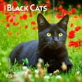 thumbnail image 1 of BrownTrout, Black Cats 2025 Mini Wall Calendar, 1 of 4