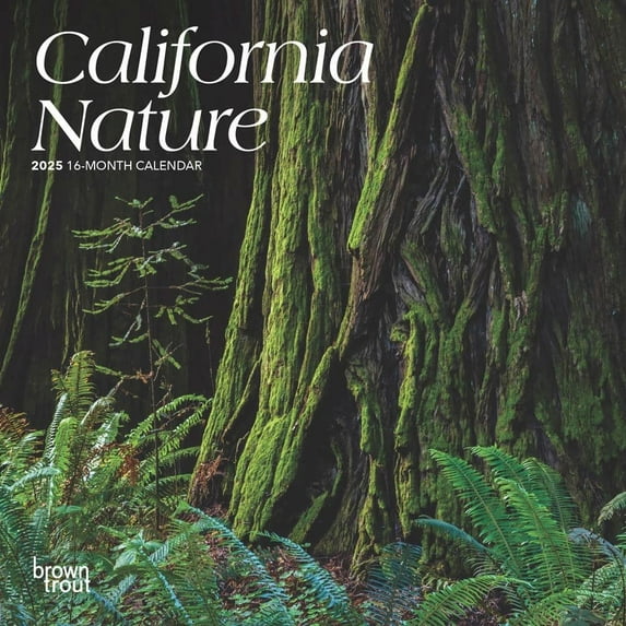 BrownTrout, California 2025 Mini Wall Calendar
