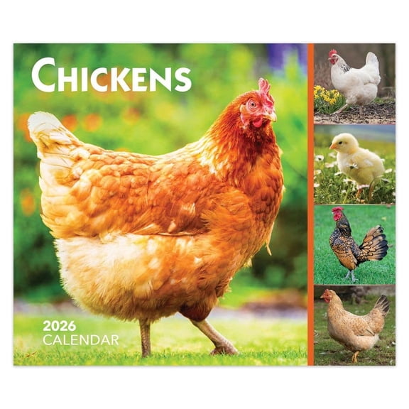 BrownTrout, Chickens 2026 Desk Calendar, 6.06'' X 5.1'', 12-Month Calendar with Spiral Binding