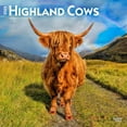 BrownTrout, Highland Cows 2025 Wall Calendar