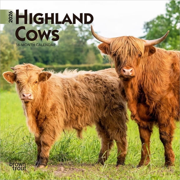 BrownTrout, Highland Cows 2026 Mini Wall Calendar