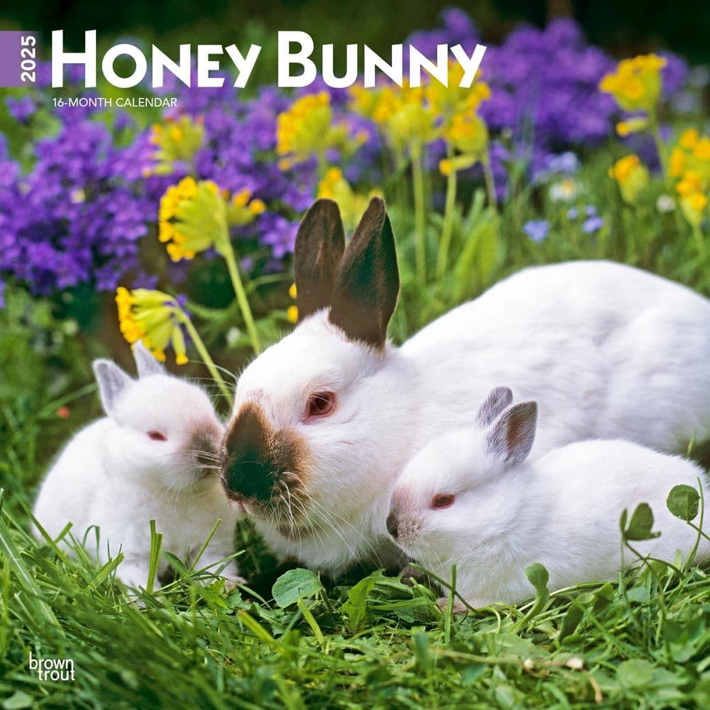 BrownTrout, Honey Bunny 2025 Wall Calendar