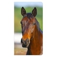 thumbnail image 1 of BrownTrout, Horses Lovers 2 Year 2025 Pocket Planner, 1 of 4