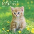 thumbnail image 1 of BrownTrout, Kittens For the Love Plato 2025 Mini Wall Calendar, 1 of 4