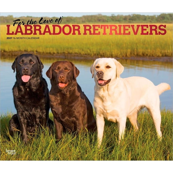 BrownTrout, Lab Retrievers 2027 Deluxe Wall Calendar