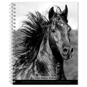 BrownTrout Portrait Series The Noble Horse 2027 6x7.75" Wire-O Engagement Planner