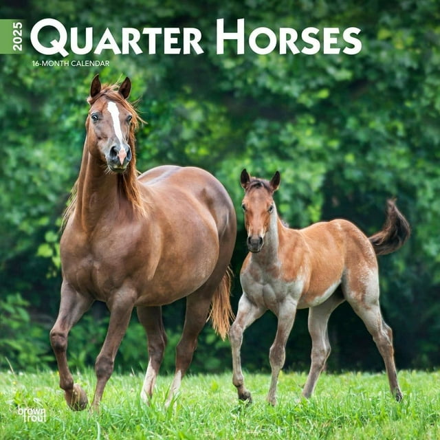 BrownTrout, Quarter Horses 2025 Wall Calendar