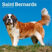 BrownTrout, Saint Bernards 2027 Wall Calendar