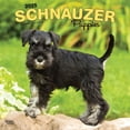 thumbnail image 1 of BrownTrout, Schnauzer Puppies 2025 Wall Calendar, 1 of 4