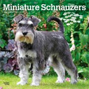 BrownTrout, Schnauzers 2027 Wall Calendar