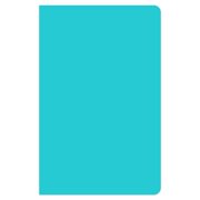 BrownTrout, Tropical Blue Lined Journal