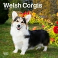 thumbnail image 1 of BrownTrout, Welsh Corgi 2025 Mini Wall Calendar, 1 of 4