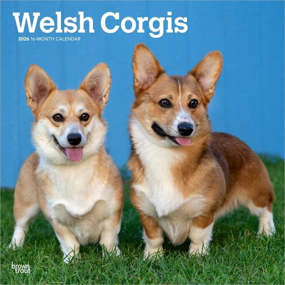 BrownTrout, Welsh Corgis 2026 Wall Calendar