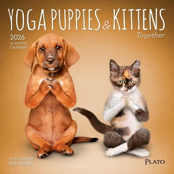 BrownTrout, Yoga Puppies and Kittens 2026 Mini Wall Calendar