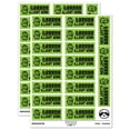 thumbnail image 1 of Brrr-illiant Brilliant Work Penguin Teacher Student School Sticker Set - Light Green - Gloss Finish - 2.00" Large, 1 of 7