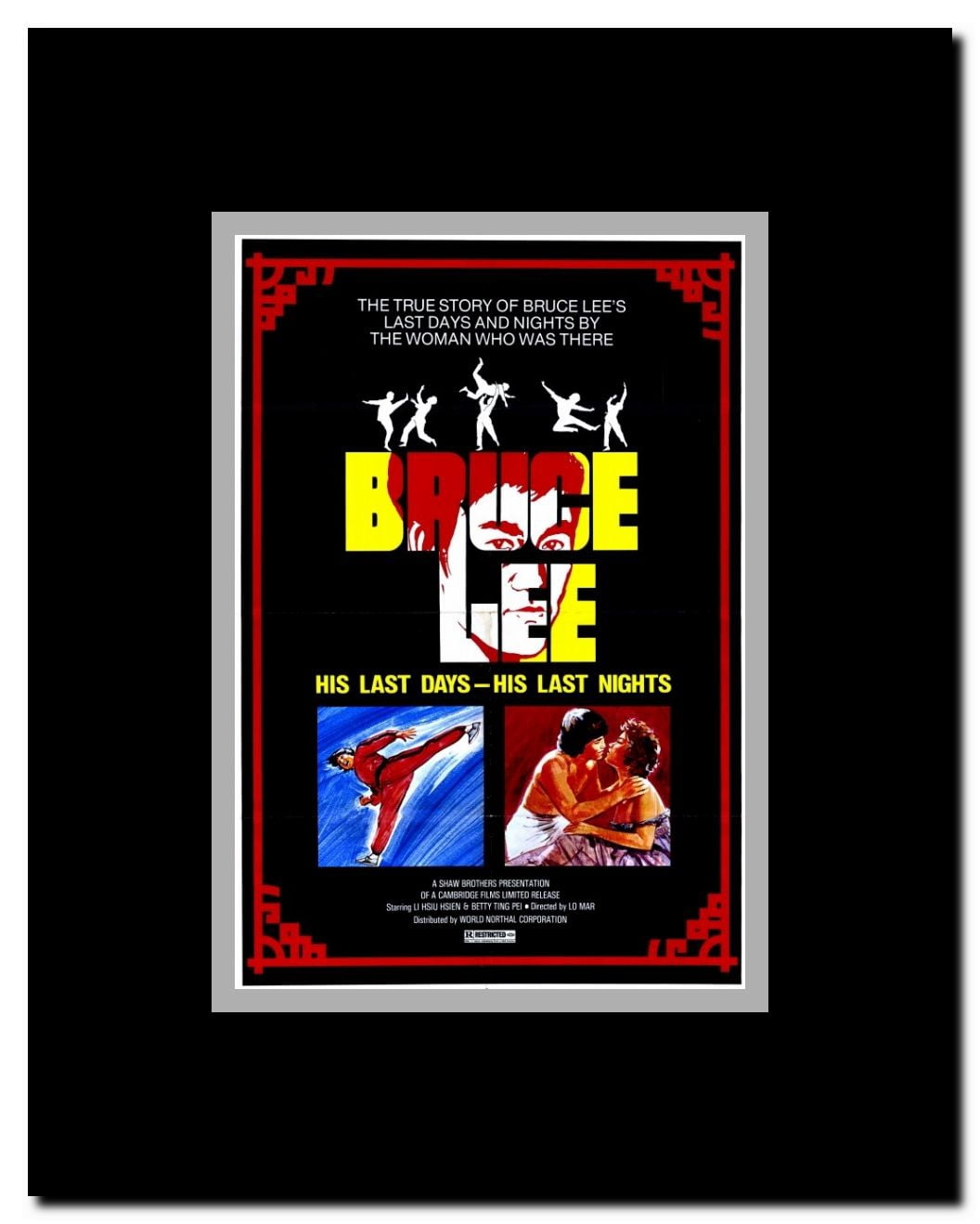 Bruce Lee: His Last Days His Last Nights Framed Movie Poster
