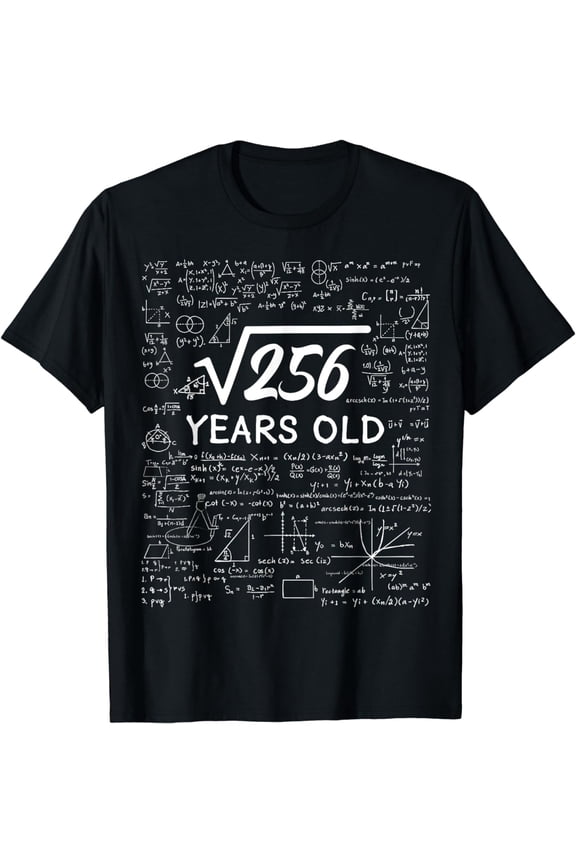 16 Birthday Boy Men Son Him Girl Funny Math 16th Birthday T-Shirt