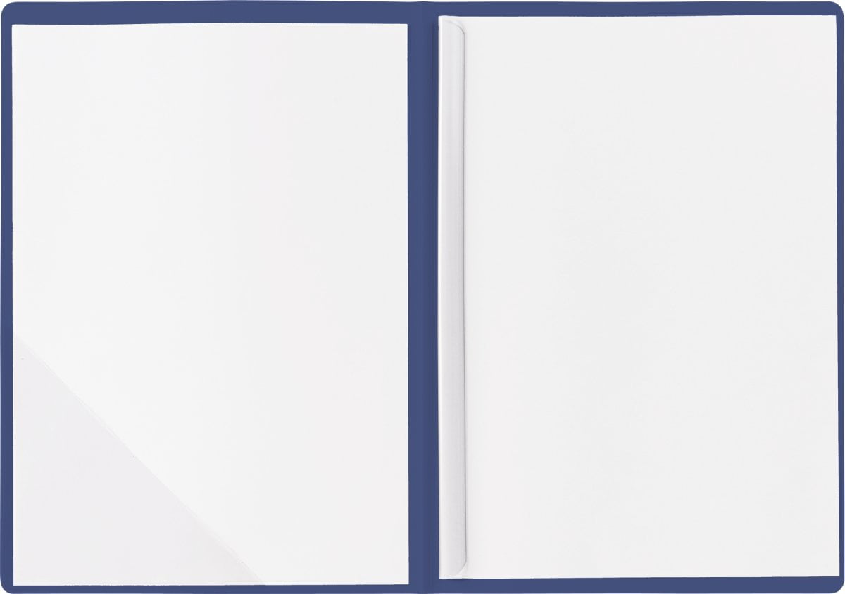 Brunnen 102012830 Structured Card with Fine Lines A4 10 Sheet Min Applications Folder  Blue