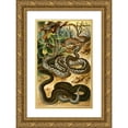thumbnail image 1 of Bruno Dürigen 13x18 Gold Ornate Wood Frame and Double Matted Museum Art Print Titled - Viper Brush (1897), 1 of 4