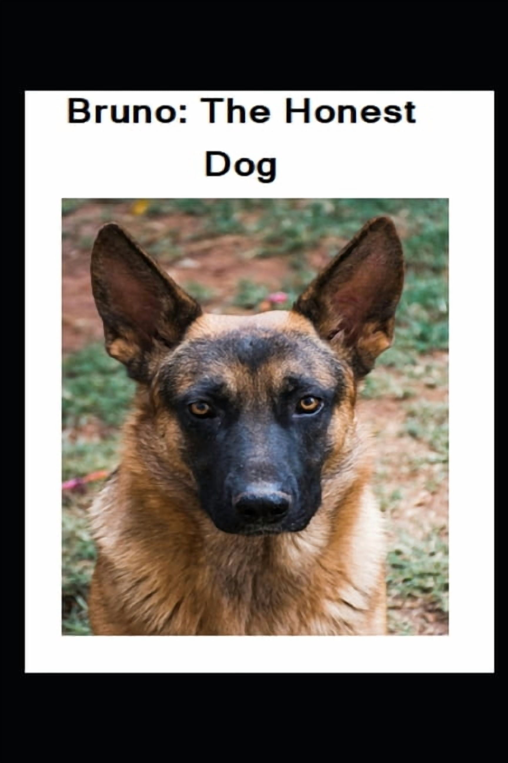 Bruno: The Honest Dog: A Heartwarming Moral Story That Teaches the Value of Honesty, Trust, and Doing the Right Thing - , (Paperback)