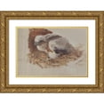 thumbnail image 1 of Bruno Liljefors 24x18 Gold Ornate Framed and Double Matted Museum Art Print Titled - Detail Study of a Peregrine Falcon's Nest (1896), 1 of 4