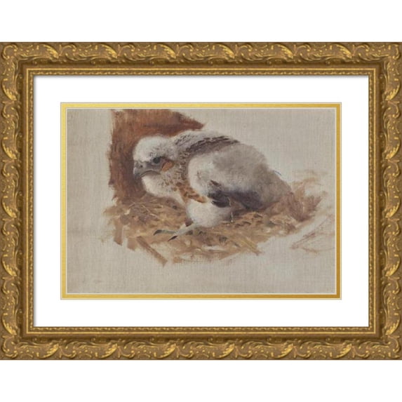 Bruno Liljefors 24x18 Gold Ornate Framed and Double Matted Museum Art Print Titled - Detail Study of a Peregrine Falcon's Nest (1896)