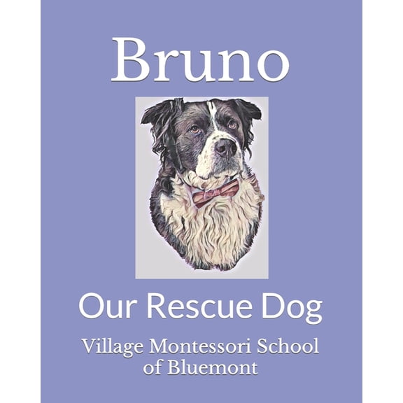 Bruno: Our Rescue Dog, (Paperback)