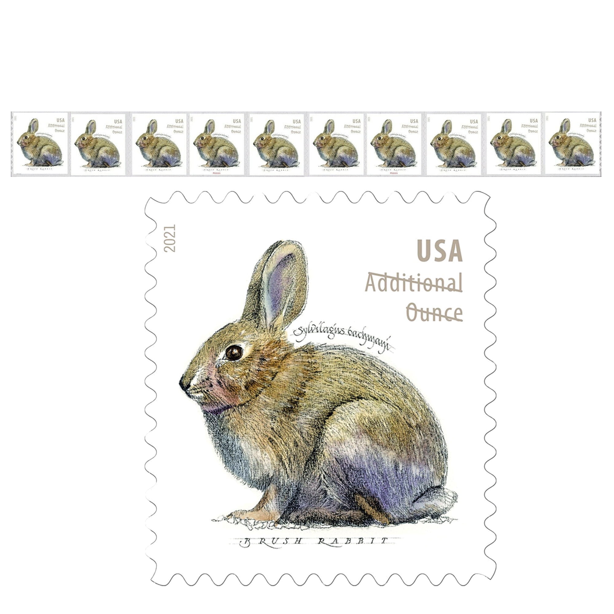Brush Rabbit \"Additional Ounce\" rate USPS Postage Stamps 1 Strip of