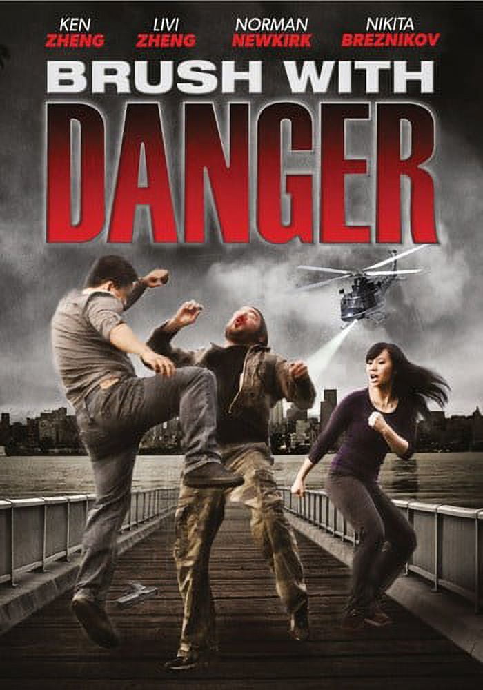 Brush With Danger (DVD)