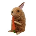 thumbnail image 1 of Brushart BRUSH0173L 10 in. Rabbit with Carrot Toy, 1 of 2