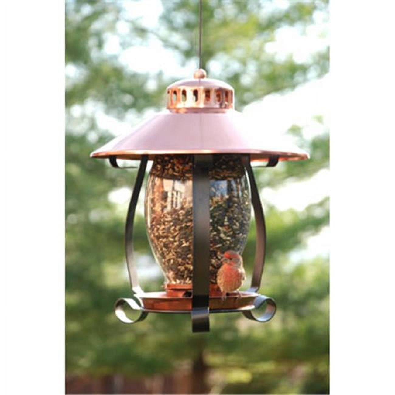 Copper and Glass Hanging Lantern Hopper Bird Feeder