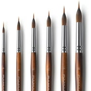 Brushes Professional, Fuumuui 6Pcs Extended Needle Point Brushes Synthetic Extra Long Pinhead Brushes with Kolinsky Sable Body for Fine Detailing - Watercolor Acrylic Gouache Inks Painting
