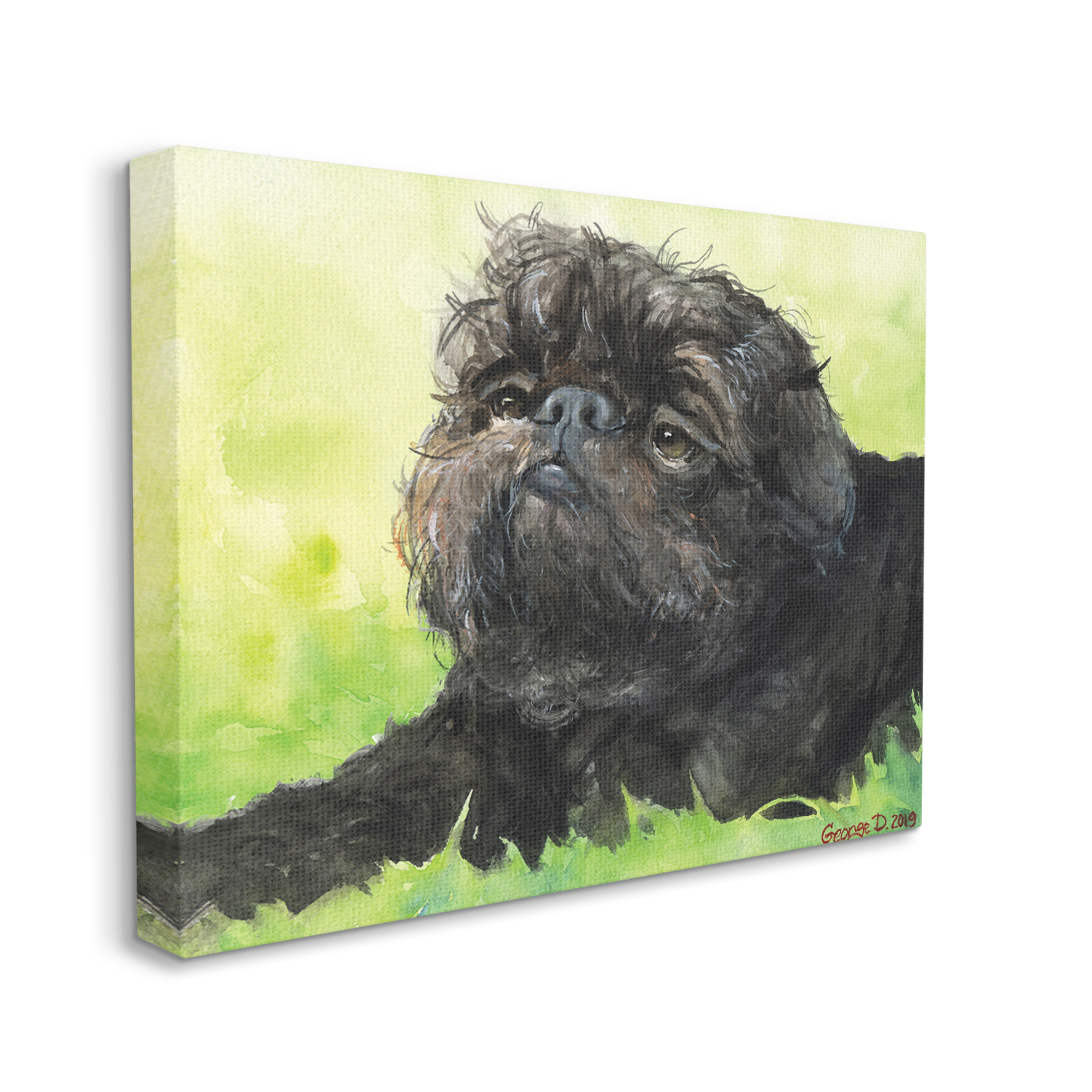 Stupell Industries Brussel Griffon Pet Dog Portrait Green Black Canvas Wall Art, 24 x 30, Design by George Dyachenko