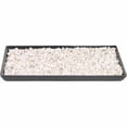 thumbnail image 1 of Brussel's Bonsai Humidity Tray 13", 1 of 4