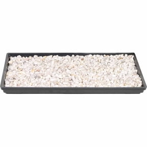 Brussel's Bonsai Humidity Tray 13"