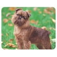 thumbnail image 1 of Brussels Griffon Coasters, 1 of 1