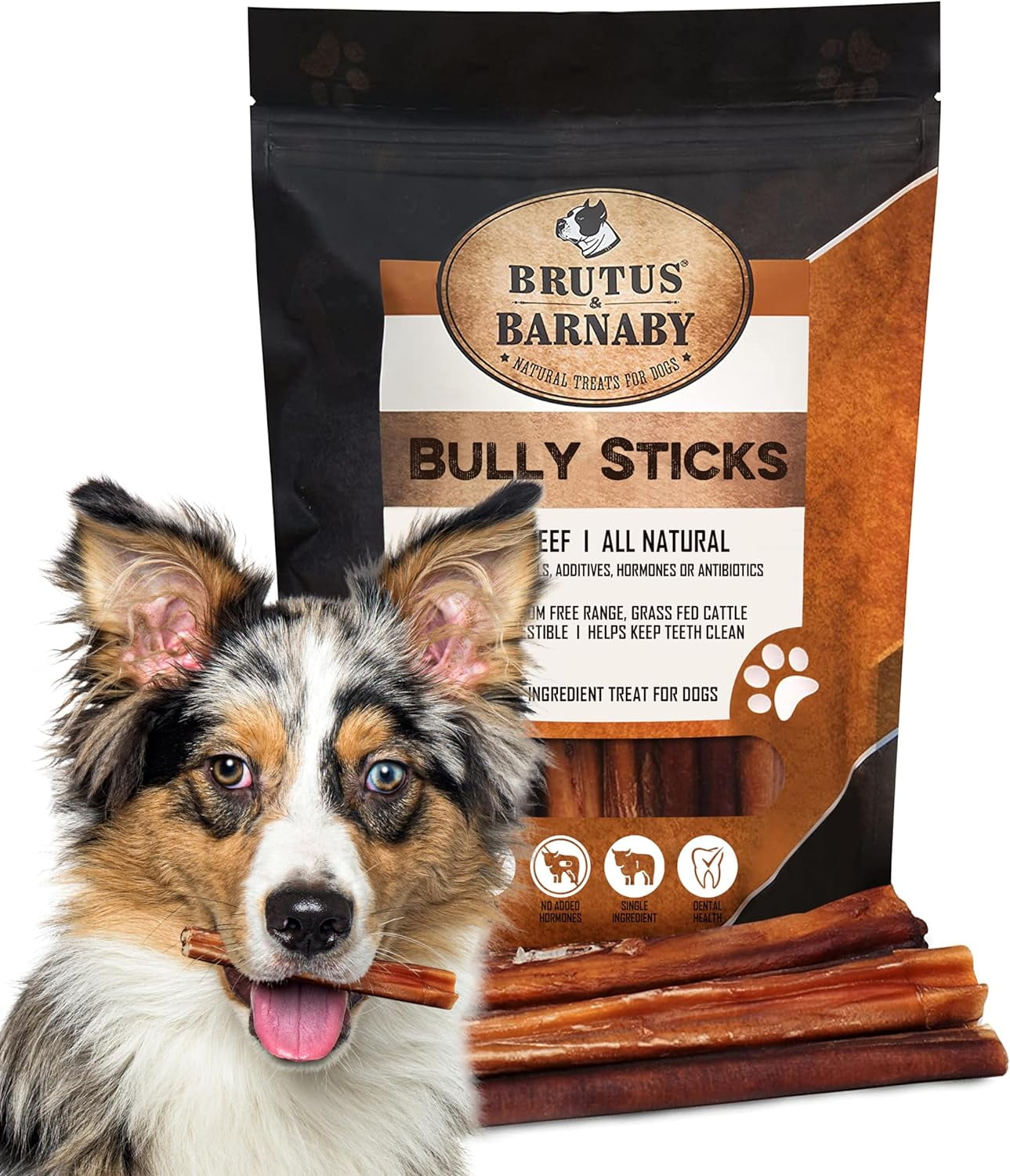 Brutus & Barnaby Bully Sticks for Dogs 100% Natural Beef Fully Digestible Dog Treats, 6" 12-Pack