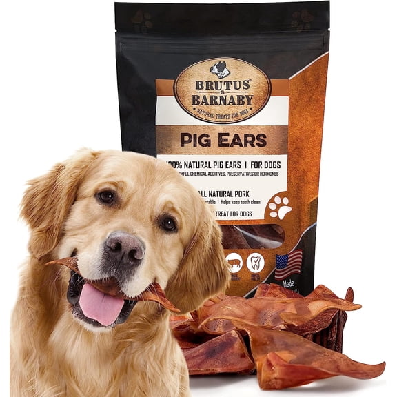 Brutus & Barnaby Pig Ears for Dogs Natural Chewy Dog Treats, Large Whole 25-Pack