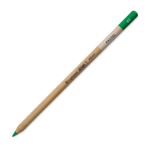 Bruynzeel Design Pastel Pencil - Apple Green 65
