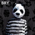 thumbnail image 1 of Bry (CD), 1 of 1