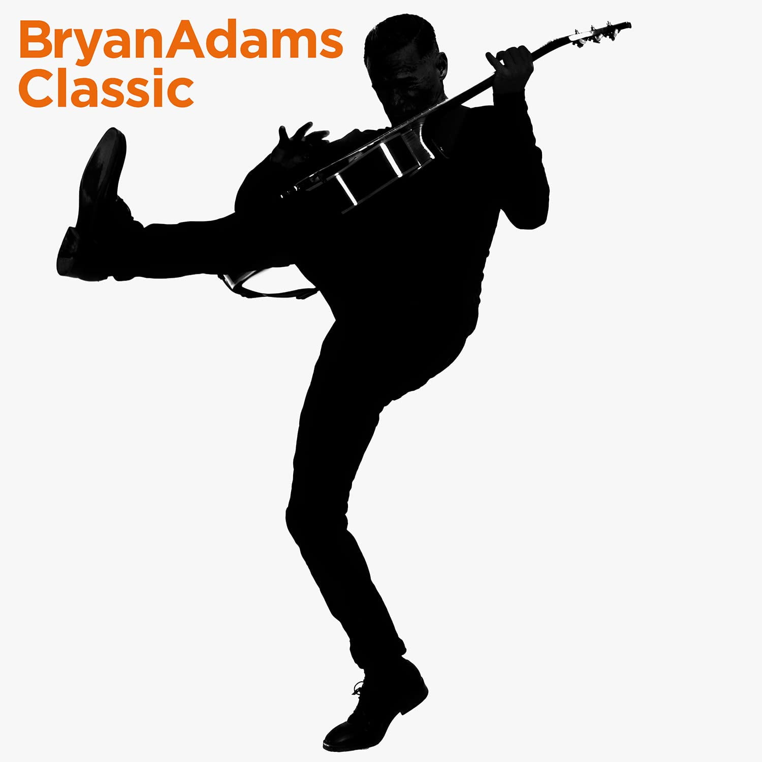 Bryan Adams - Classic - Music & Performance - Vinyl