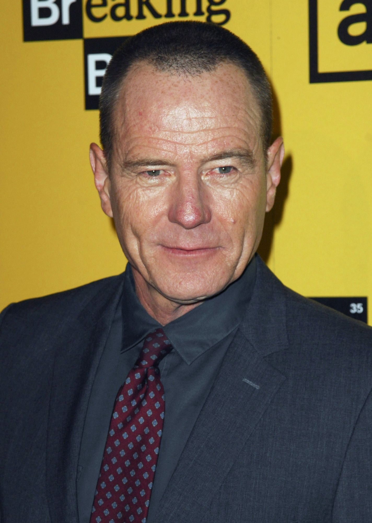 Bryan Cranston At Arrivals For Breaking Bad Season Four Premiere Canvas Art - (16 x 20)