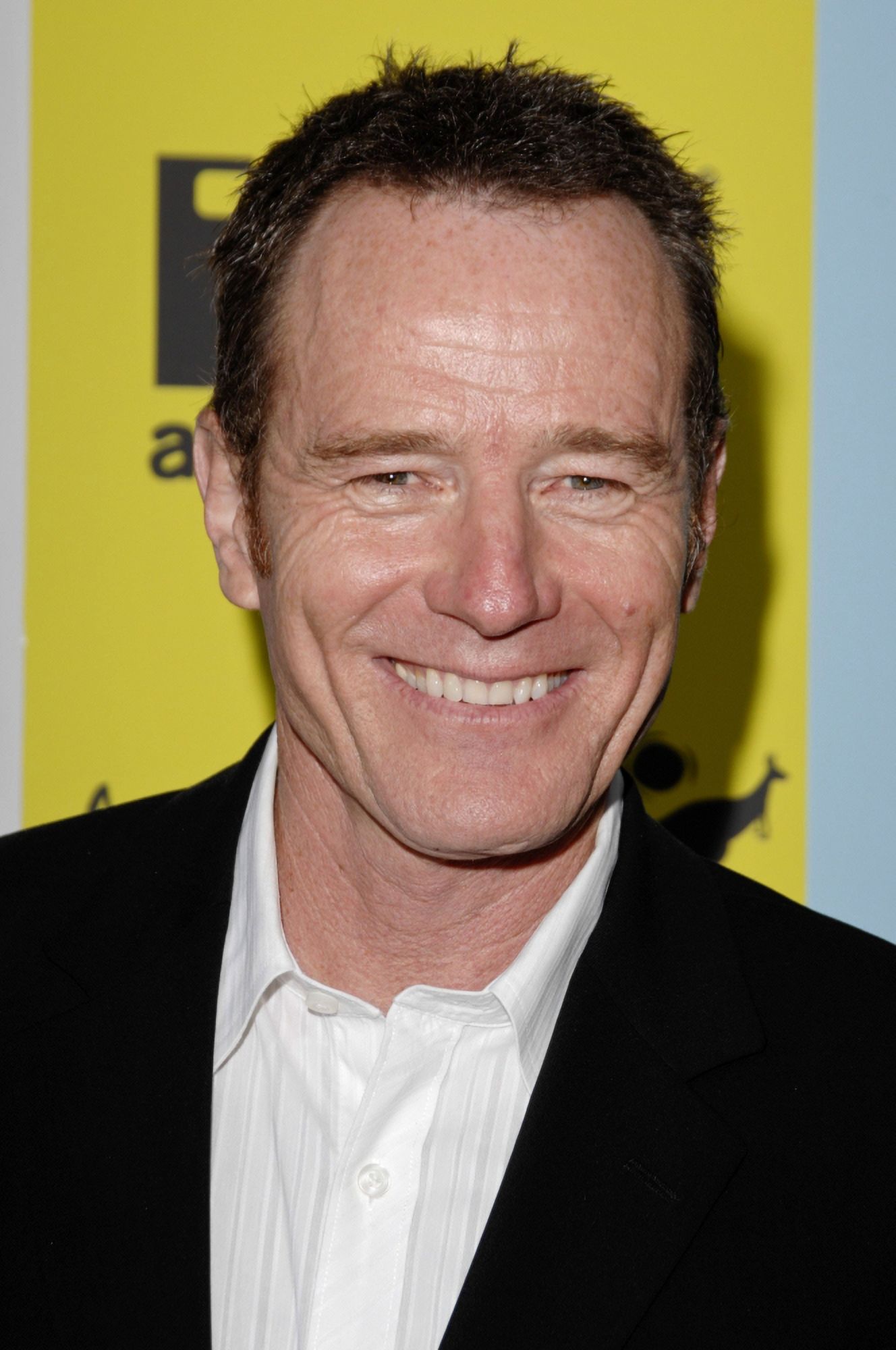 Bryan Cranston At Arrivals For The Ifc Party Celebrating The Spirit Of Independent Film Canvas Art - (16 x 20)