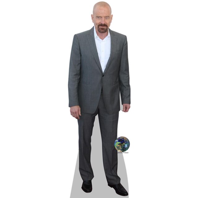 Bryan Cranston (Grey) Mini Cardboard Cutout Standee
