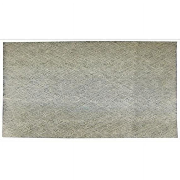 Bryant DP88NA2413E101-DBT Air Filter- Pack Of 2