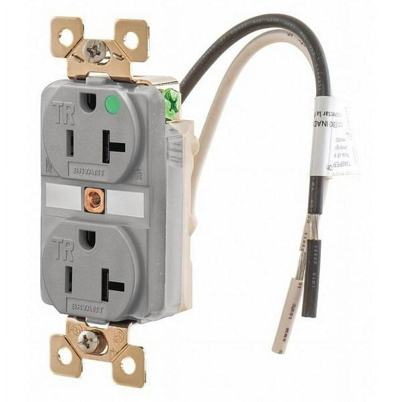 Bryant Receptacle,2 Poles,3 Wires,Gray,1.0 HP BRY8300GTR