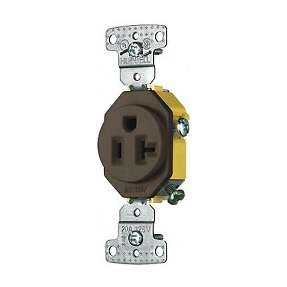 Bryant Receptacle,Brown,125VAC,Mounting Flush BRYRR201